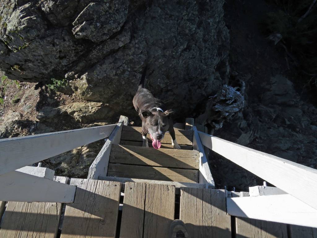 Bear, not being able to open her eyes to the vertiginous view