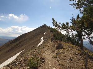 Trail to summit of Mt. Sheridan