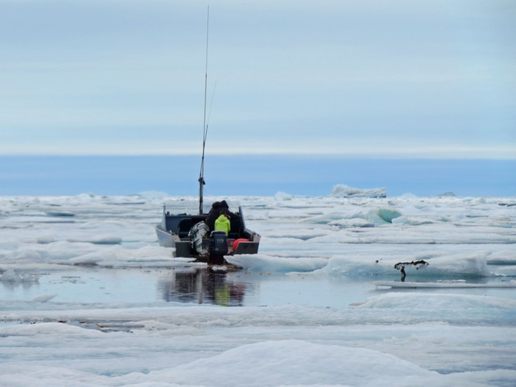SealHuntingCumberland