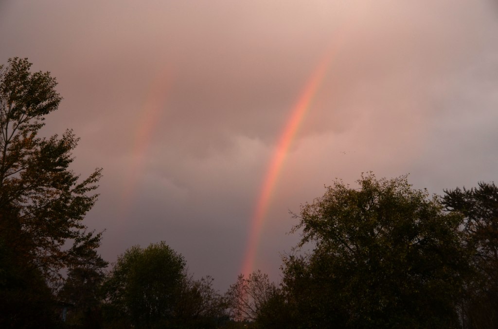 Rainbows Mean Rain