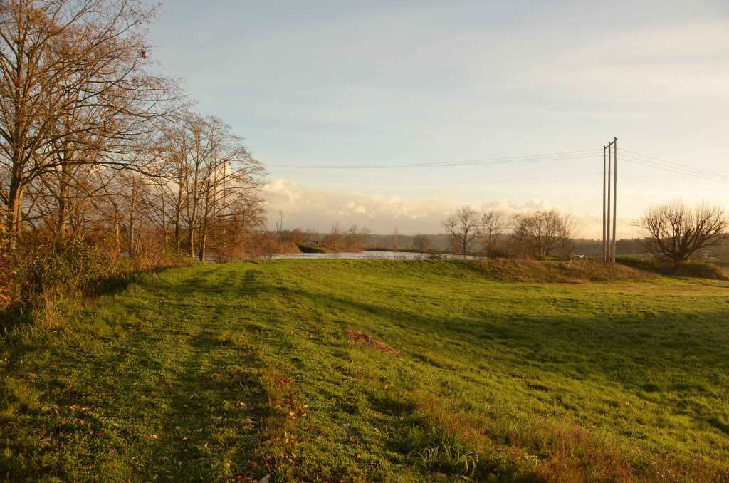 Dikes look dry, but seeping is occurring at the base of the slope