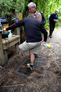 ShoeCleaningKauriDieback