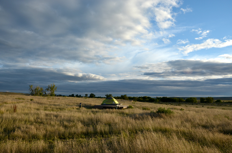 Morning on the prairie: imagining a million&nbsp;buffalo