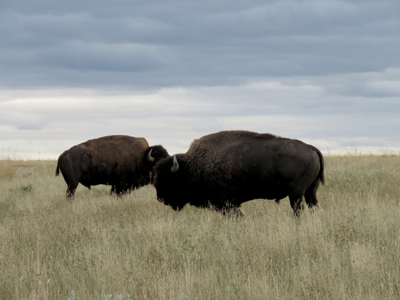 Getting out there in outer&nbsp;Montana