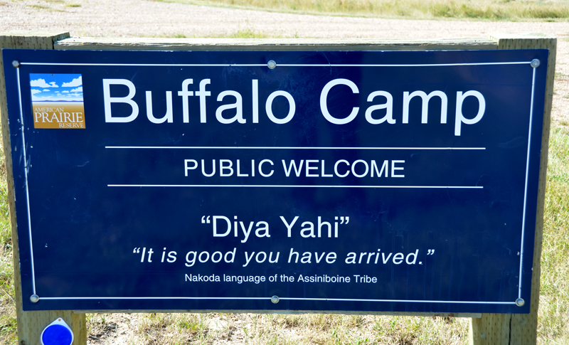 buffalocampsign