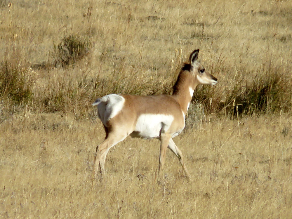 No meddling with the Circle of&nbsp;Life