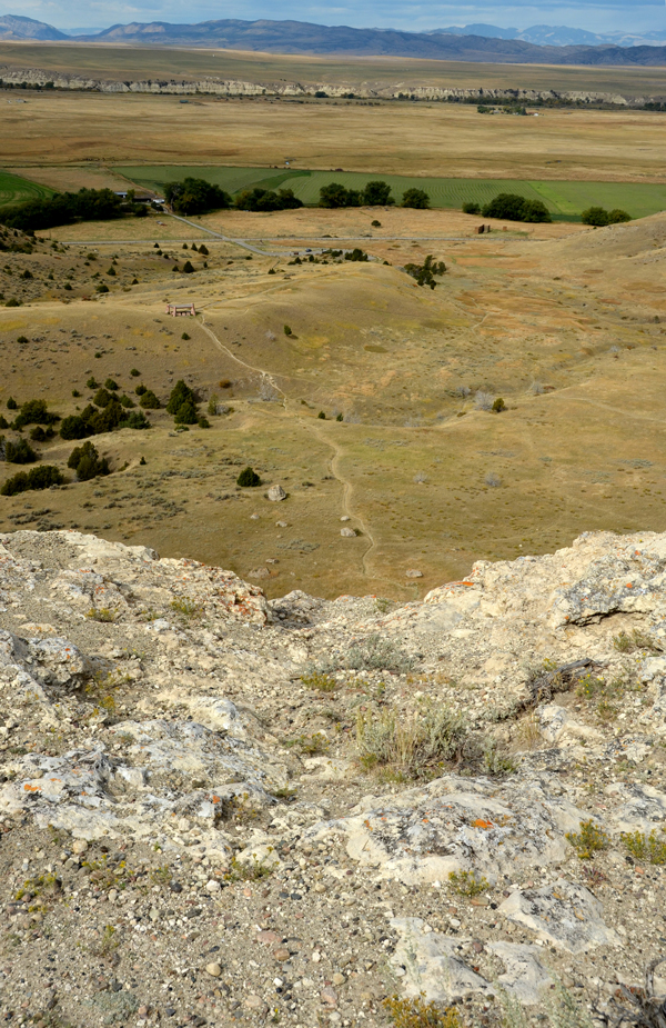 madbuffalojumpbisonview