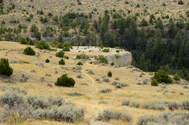 madbuffalojumpritualstage