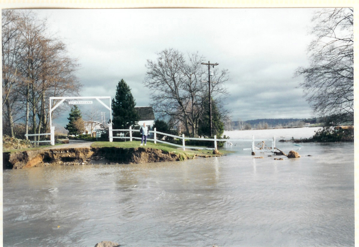 1995-flood