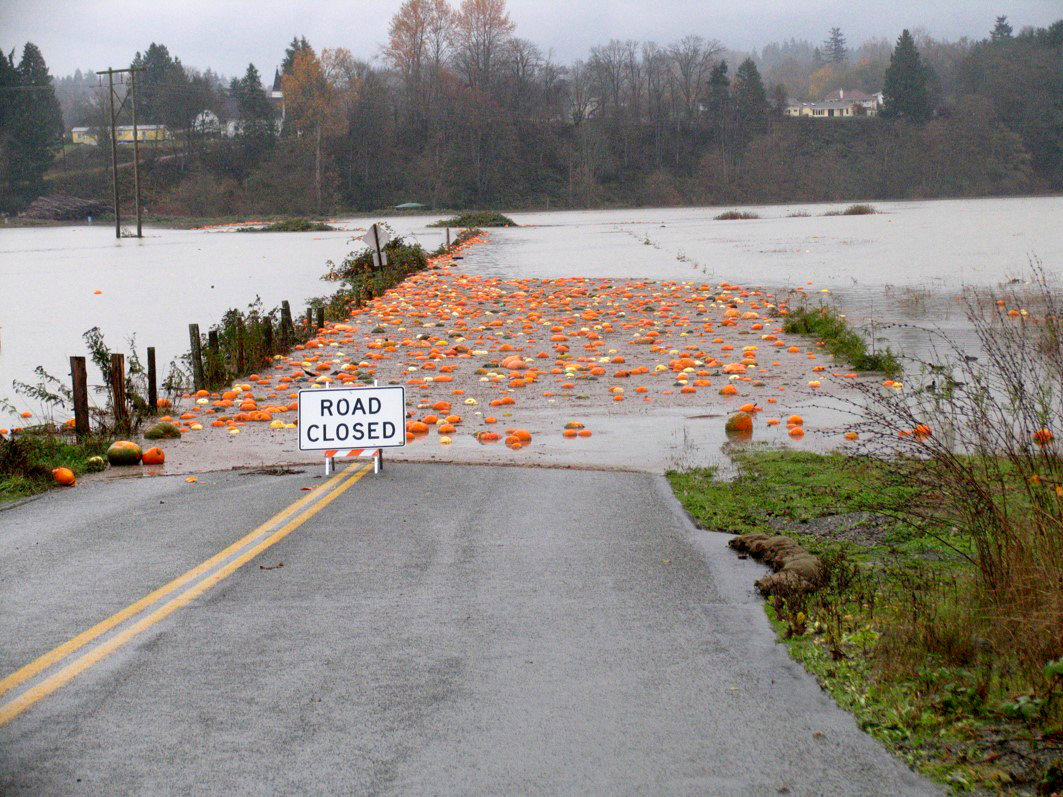 greatpumpkinflood2