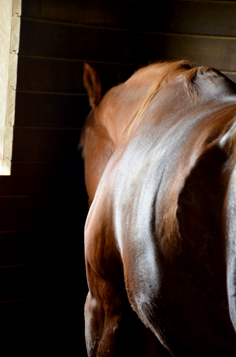 thisiswhathurtlookslike