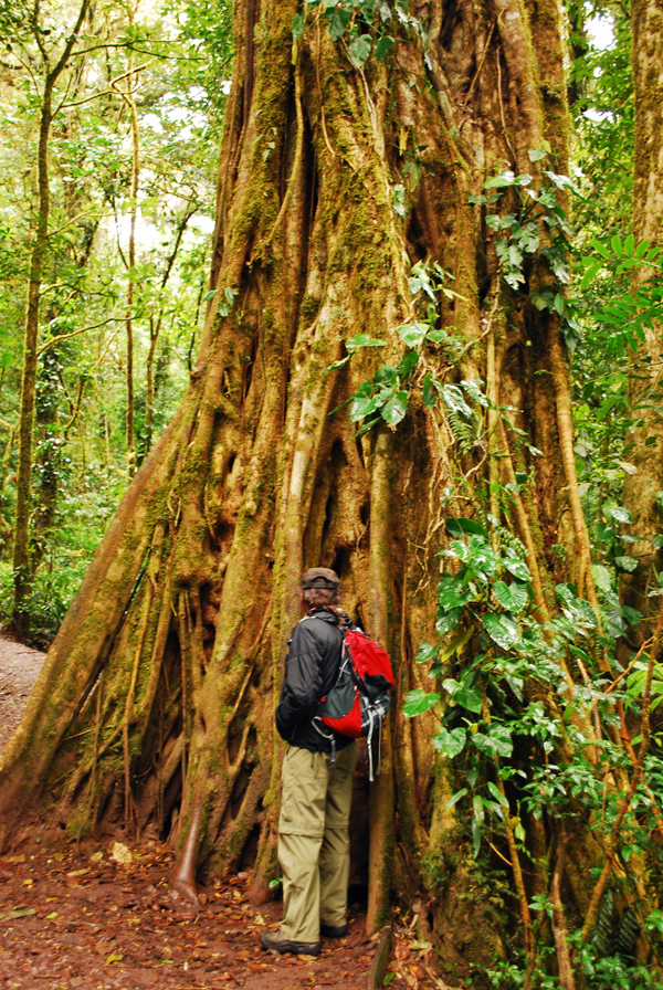 2232014_gregfruxmonte