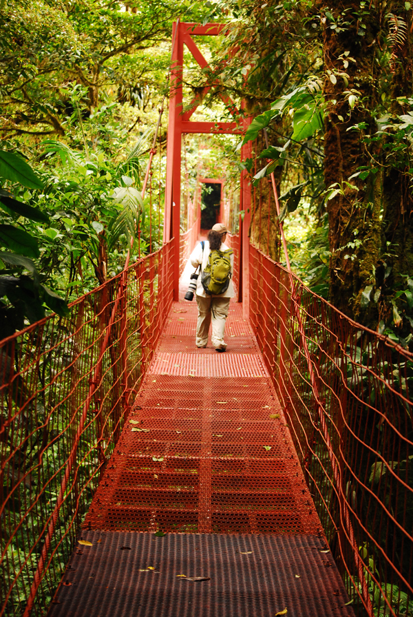 2232014_kimsuspensionbridge