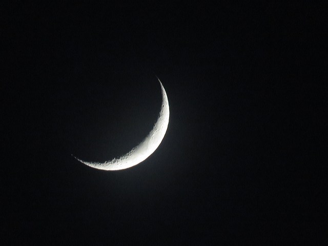 crescentmoon